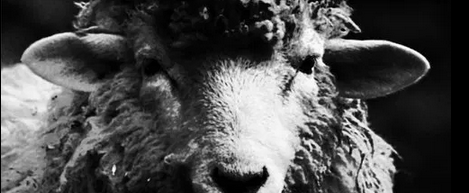 光のない夜に、最後の一人が見る夢